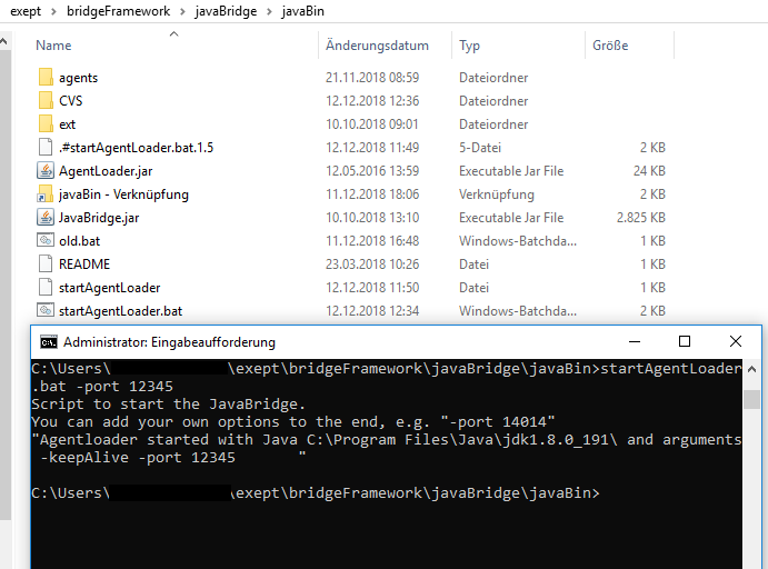 Datei:JavaSwing Connection RemoteSetup.png