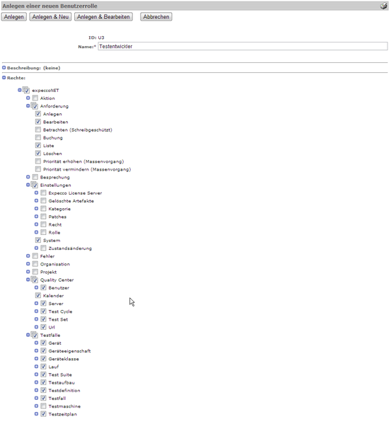 Datei:ExNETDoku HowTo Walkthrough StepCreateRole.png